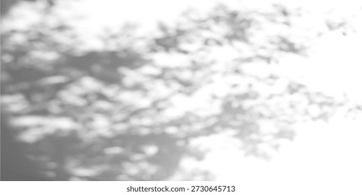 Abstract gobo light texture on concrete background. Vector realistic illustration of tree leaf and sunlight shadows on wall, natural pattern with floral silhouettes on white surface, summer garden bg