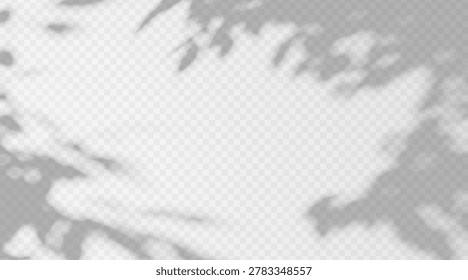 Abstract gobo shadow overlay from tree foliage on transparent background. Soft leaf shade effect created by sunlight