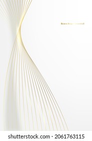 Abstract gold light lines background. Vector.