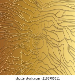 abstract gold line background vector illustration