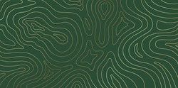 Abstract Gold Topographic Lines On A Green Background. Golden Line Waves Topographical Design. Geographic Mountain Contours Vector Illustration.