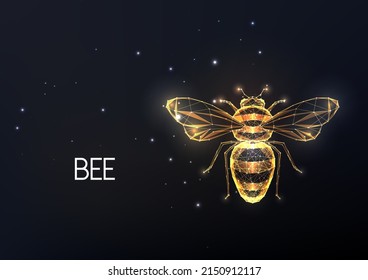 Abstract golden bee, honeybee made of lines, stars, polygons isolated on black background. 