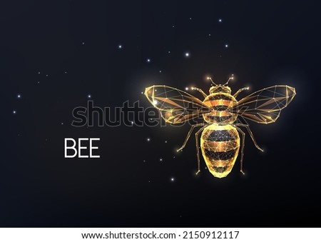 Abstract golden bee, honeybee made of lines, stars, polygons isolated on black background. 