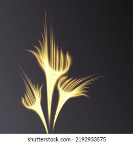 Abstract golden curved lines of light. Luxurious template with sparkling vertical lines and glitter. Vector.