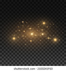 Abstract golden flying lights isolated on dark transparent background. Glare and flare. Glittering stars and and blurry spots. Vector illustration. EPS 10