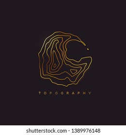 Abstract golden island sign. Outline relief. Contour map. Vector illustration. Topographic logo design. Cartography concept.