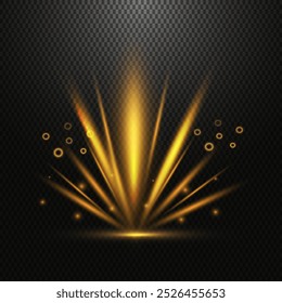 Abstract golden light rays with shining circles and a bokeh effect on a transparent background. Vector illustration.