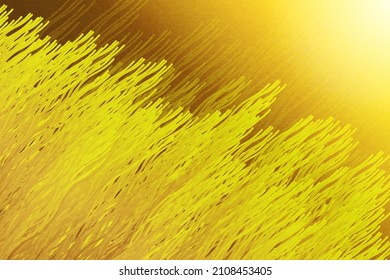 Abstract golden lines background with glow effect