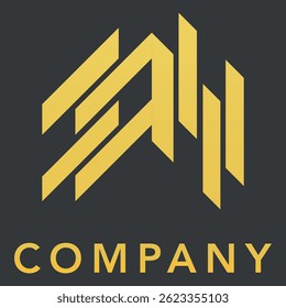 An abstract golden logo on a dark background with the inscription “COMPANY”, symbolizing a professional, stylish, premium brand or company.


