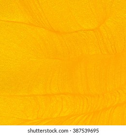 Abstract golden texture as a background for your design