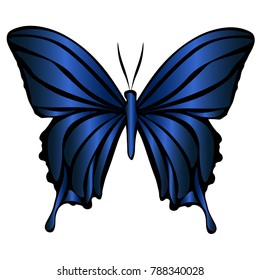 abstract gradient butterfly from blue and dark colors