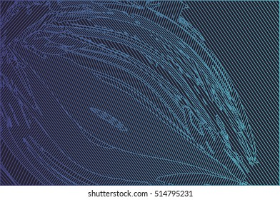 Abstract gradient flowing outlines on dark background, vector illustration