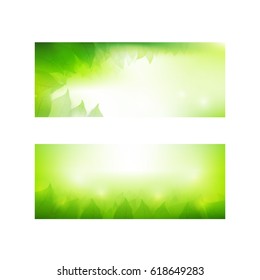 Abstract gradient green background with transparency leaf for ecology concepts, wiht copy space