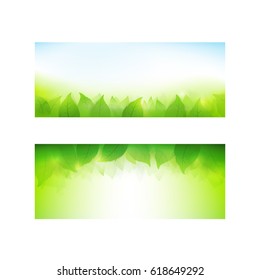 Abstract gradient green background with transparency leaf for ecology concepts, wiht copy space