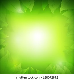 Abstract gradient green background with transparency leaf for ecology concepts, wiht copy space