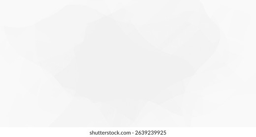Abstract Gradient  White grey  liquid background. Modern  background design.