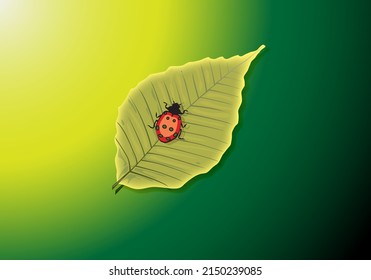 Abstract gradient yellow green background with green leaf illustration. Insect. Environmental conservation concept. EPS-10 Vector Design