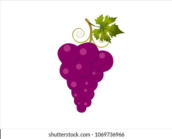 Abstract grape with leaves on white background. Red grape. Vector illustration