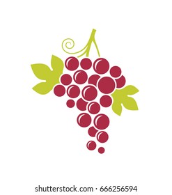 Abstract grape with leaves on white background. Red grape vector. Natural food