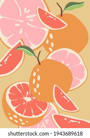 Abstract grapefruit. Pink background. Composition citrus fresh. Healthy food for vegan in modern style, colorful fruits vector set. Horizontal illustration. Border line.