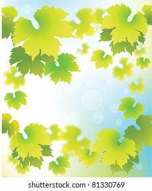 Abstract grapevine leaves frame on bokeh background.Vector illustration
