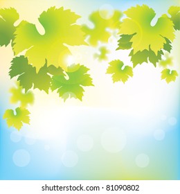 Abstract grapevine leaves on bokeh background.Vector illustration