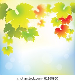 Abstract grapevine leaves on bokeh background.Vector illustration