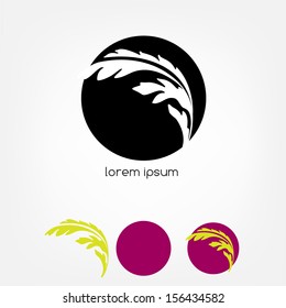 Abstract graphic design - circle with feather light