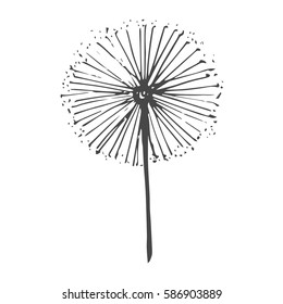 Abstract graphic doodle dandelions. Decorative Elements for design, dandelions