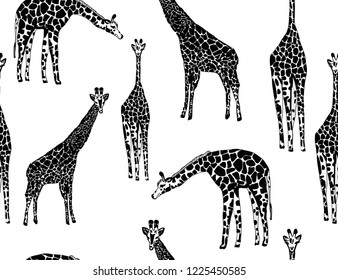 abstract graphic giraffes on white background, seamless vector pattern