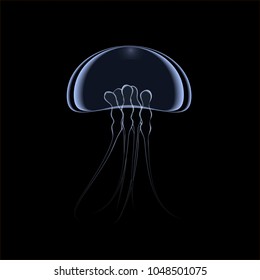Abstract graphic illustration of jellyfish 