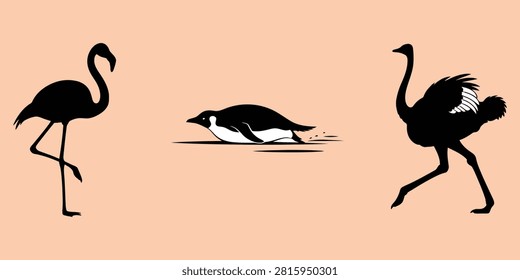 Abstract graphic representations of distinct avian species in dynamic poses. Ideal for educational or conceptual design projects.
