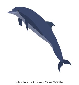 Abstract graphic single dolphin flat vector clip art EPS10