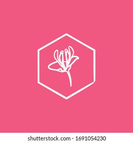 Abstract graphic vector illustration of a flower honeysuckle