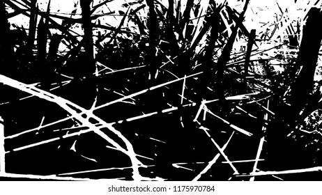 Abstract grass background. Monochrome texture of black and white tones. A Picture includes wood, lines, spots, dirt, streaks, dotsburnt tree and coal elements.