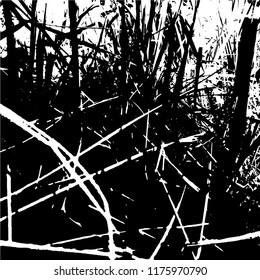 Abstract grass background. Monochrome texture of black and white tones. A Picture includes wood, lines, spots, dirt, streaks, dotsburnt tree and coal elements.