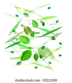 Abstract grass and leaves background