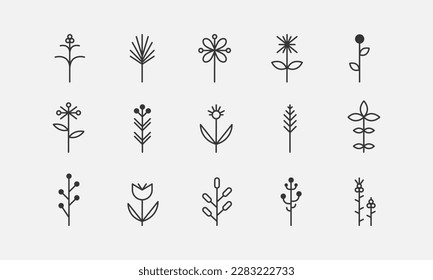 Abstract grass line icons set. Spring plants, blossoms and wildflowers. Botanical signs elements. Vector illustartion