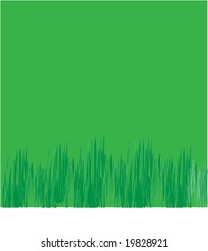 abstract grass vector background