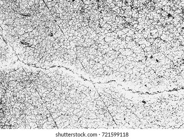 Abstract gray background, cement or concrete wall textured. Vector illustration design with copy space.