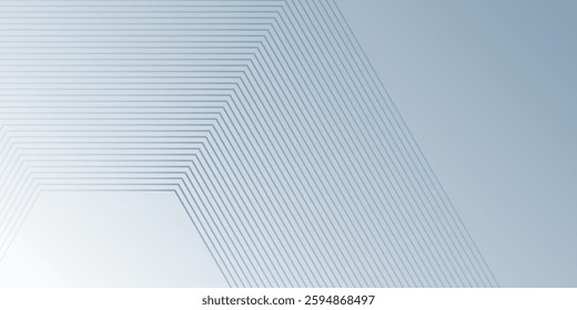 Abstract gray background with hexagon lines texture. suitable for wallpaper design