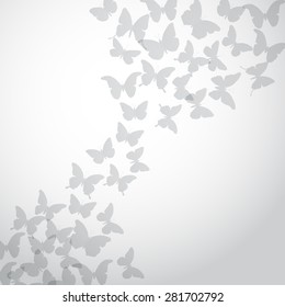 Abstract gray Butterfly Background on white background. Vector