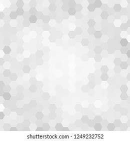 Abstract gray hexagon background. layout for the presentation. template for business design