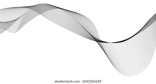 Abstract Gray wavy business and banner curve line background. Digital future technology concept. Line art striped graphic template, banner background. Vector illustration.