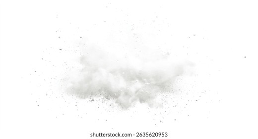 Abstract gray and white explosion powder background texture. White powder explosion, isolated on white background. 