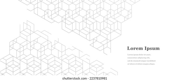 abstract gray white hexagon, geometric texture background, polygon pattern, network concept