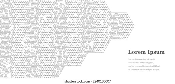abstract gray white hexagon, geometric texture background, polygon pattern, network concept