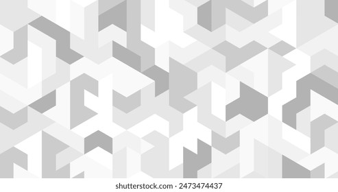 abstract gray white hexagon. geometric polygon texture background. triangle pattern. architectural concept.