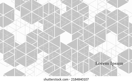 abstract gray white hexagon, network image, geometric background, scientific technology, engineering concept