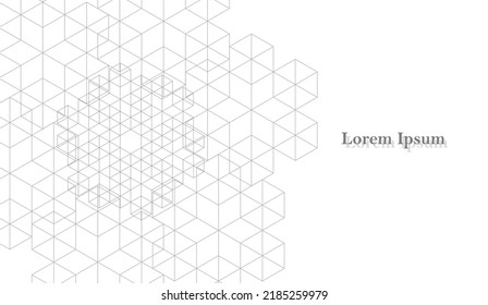abstract gray white hexagon, network image, geometric background, scientific technology, engineering concept